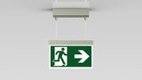 Emergency exit luminaire AMDCanthracite    